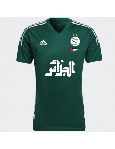 Maillot Algérie x Palestine 2023 Vert Livraison rapide