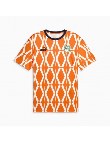 Maillot Cote d'Ivoire CAN 2024 FtblCulture la livraison gratuite